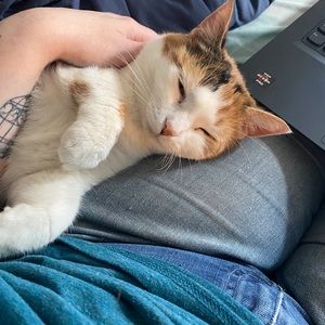 Meet your Posher, Kristina